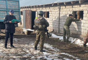 В Туркестанской области ликвидирован туннель для контрабанды нефтепродуктов