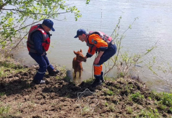 127 тысяч вызовов отработали спасатели ДЧС ВКО в 2024 году
