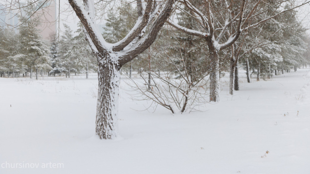  ©El.kz/Артем ЧУРСИНОВ 