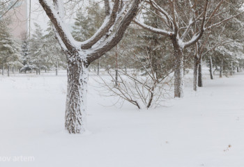 31 желтоқсанға арналған ауа райы болжамы
