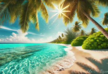 Scammers who earned $60 million from advertising bungalows  uncovered in Turkey