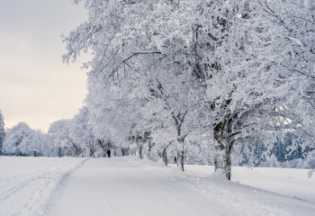 «ҚазАвтоЖол» көлік жүргізушілеріне үндеу жасады