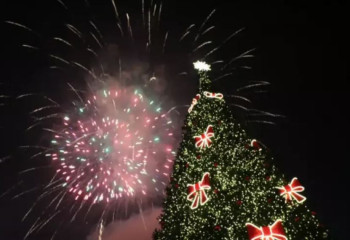 Полиция Жаңа жыл түні қалай өткені туралы есеп берді