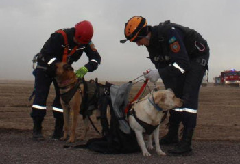 Жаңа жыл түні 25 адам құтқарылды - ТЖМ