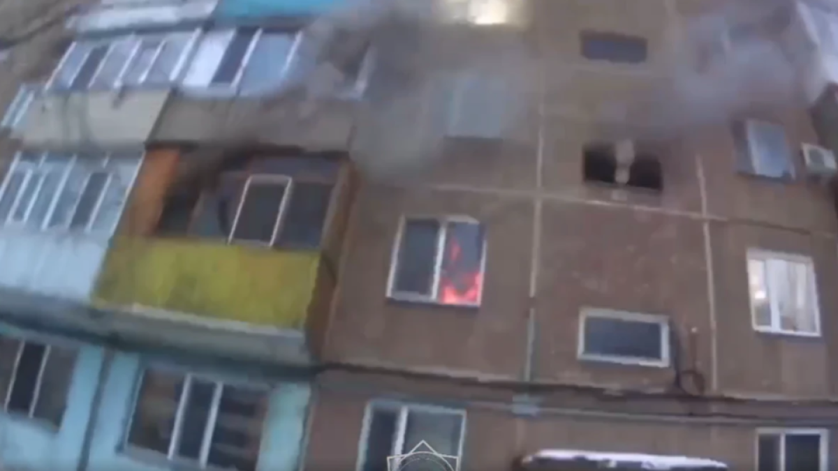  Видеодан кадр 