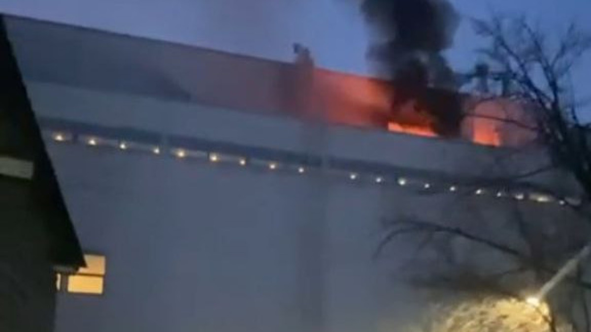  Видеодан кадр 