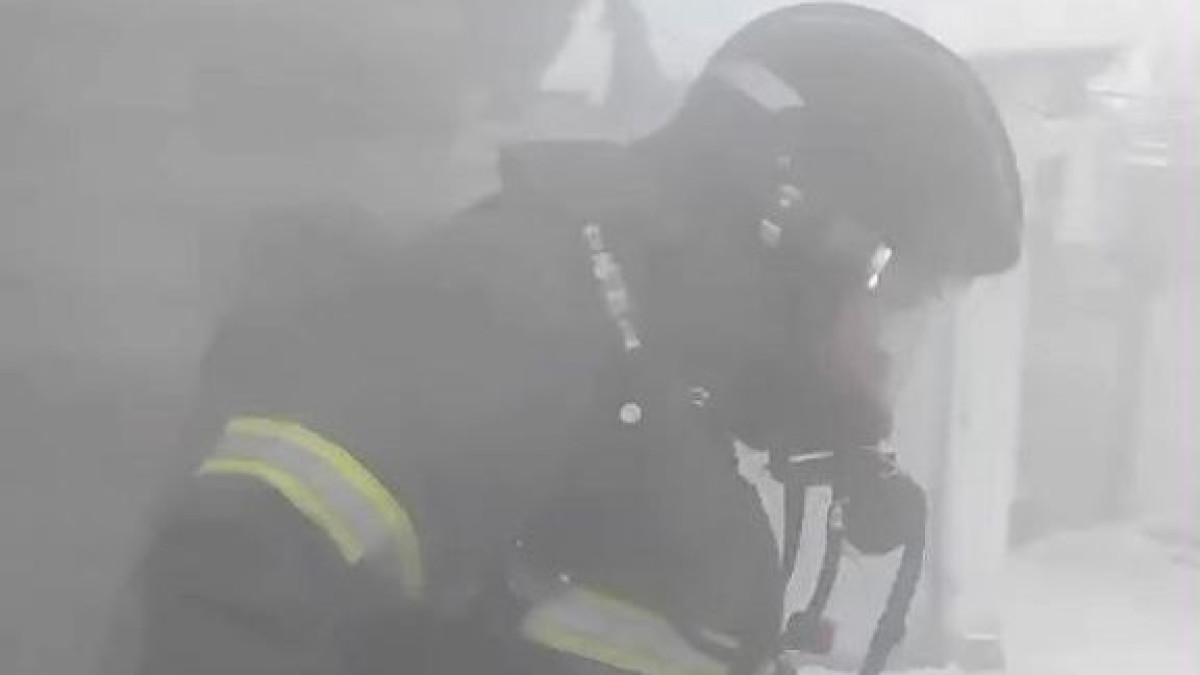  Видеодан кадр 