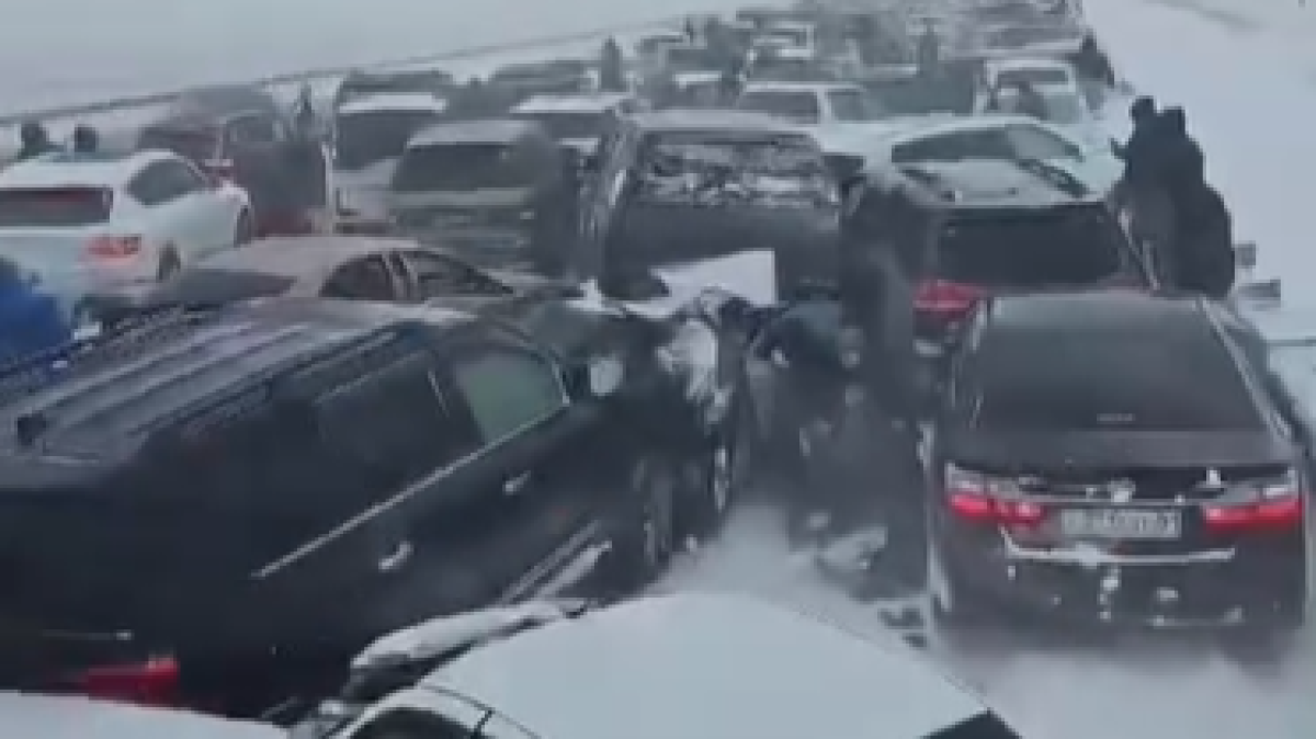  Видеодан кадр 