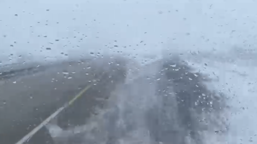  Видеодан кадр 