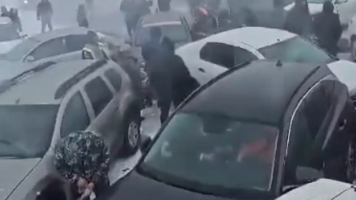  Видеодан кадр 