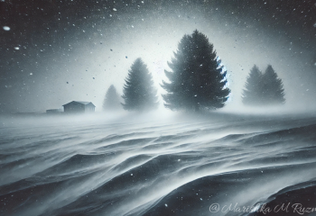 Штормовое предупреждение объявлено в Астане и 15 областях Казахстана