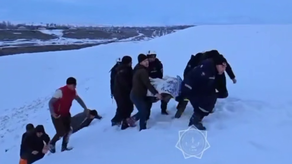  Скриншот видео 