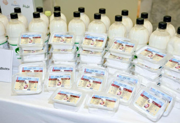 Абай облысының кәсіпкері қымыздан балмұздақтың 18 түрін шығарады