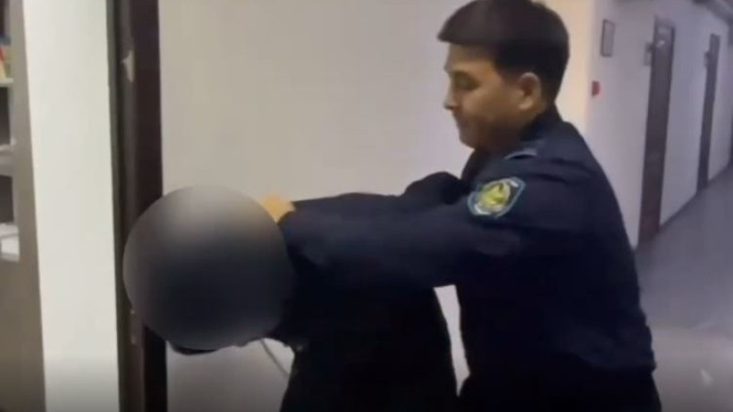  видеодан кадр 