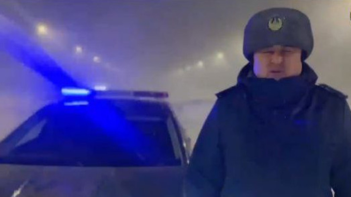  Видеодан кадр 