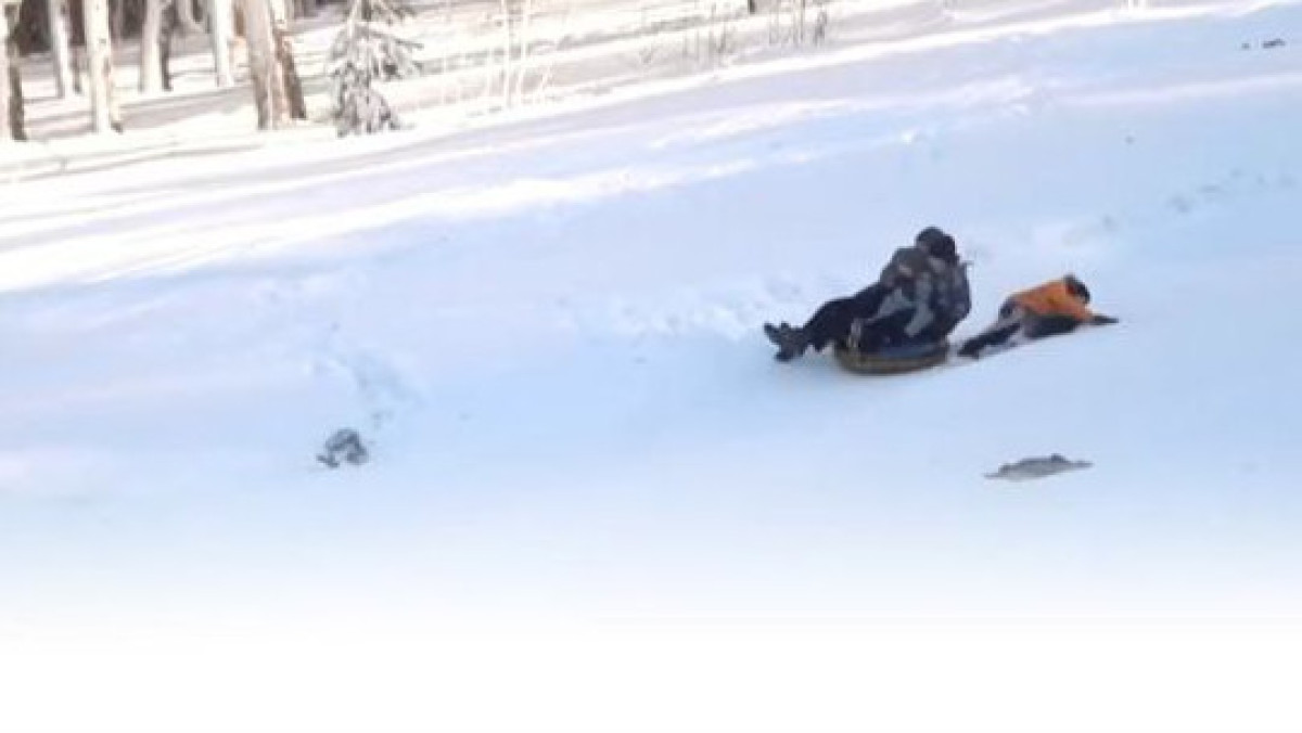  Видеодан кадр 