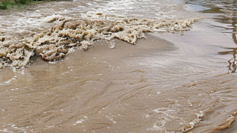  ©El.kz/Ербол БЕКБОЛАТ/Midjourney 