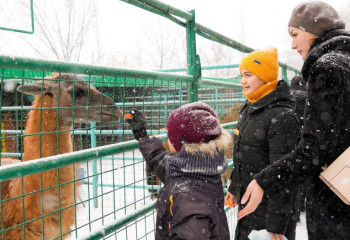Абай облысында балалардың қысқы демалысы ұйымдастырылды