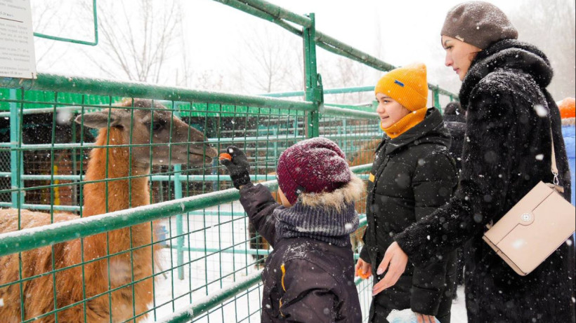  Семей қаласы әкімдігі 