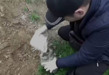 В Жетысу осуждены 78 человек за наркопреступления за год