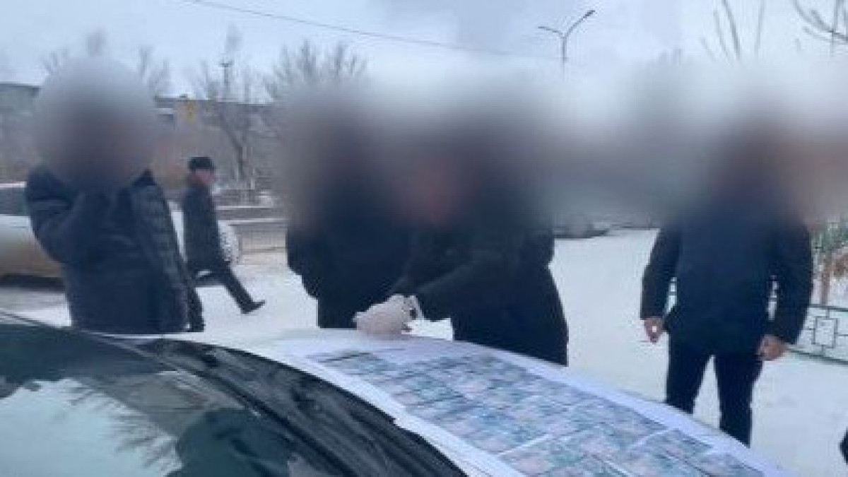  Видеодан кадр 