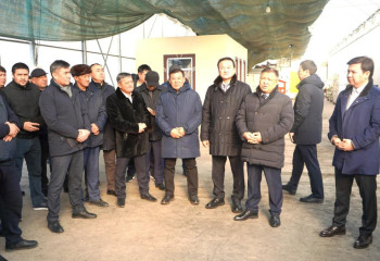 Мәжіліс депутаттары Түркістан облысындағы кәсіпорындарды аралады