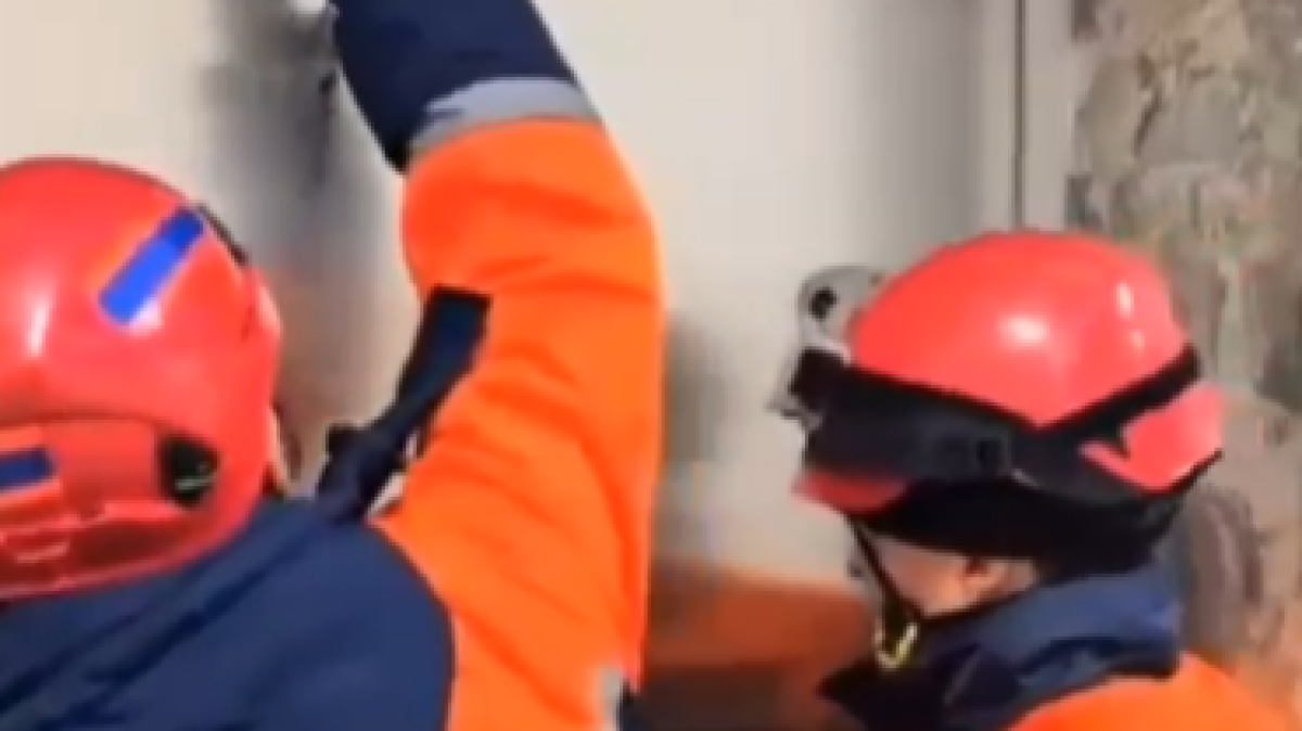  Видеодан кадр 