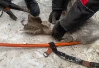 В Усть-Каменогорске сотрудники МЧС провели операцию по спасению кота