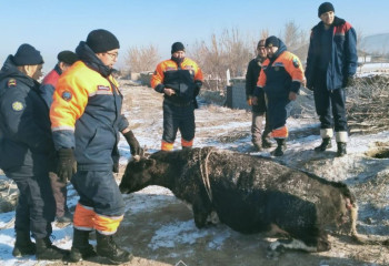 Жамбыл облысында ТЖМ қызметкерлері ерекше құтқару операциясын өткізді