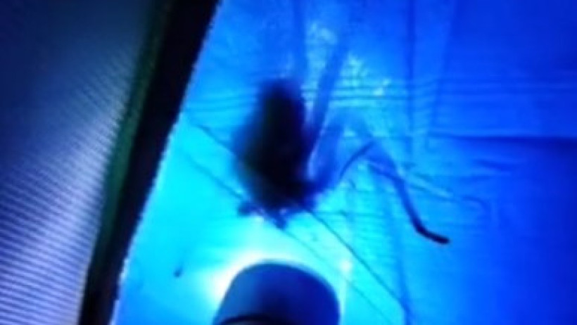  Кадр из видео 