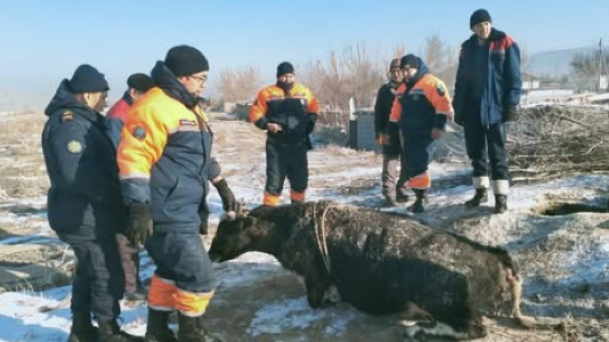  Жамбыл облыстық ТЖД 