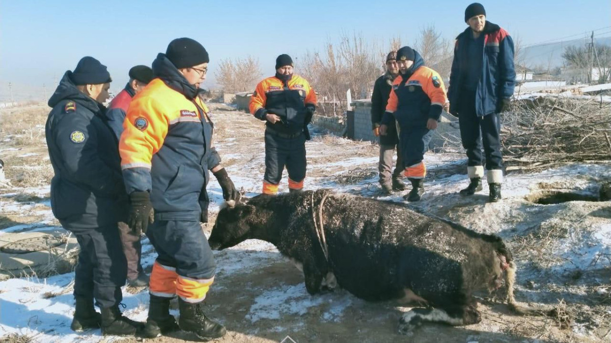  ТЖМ 