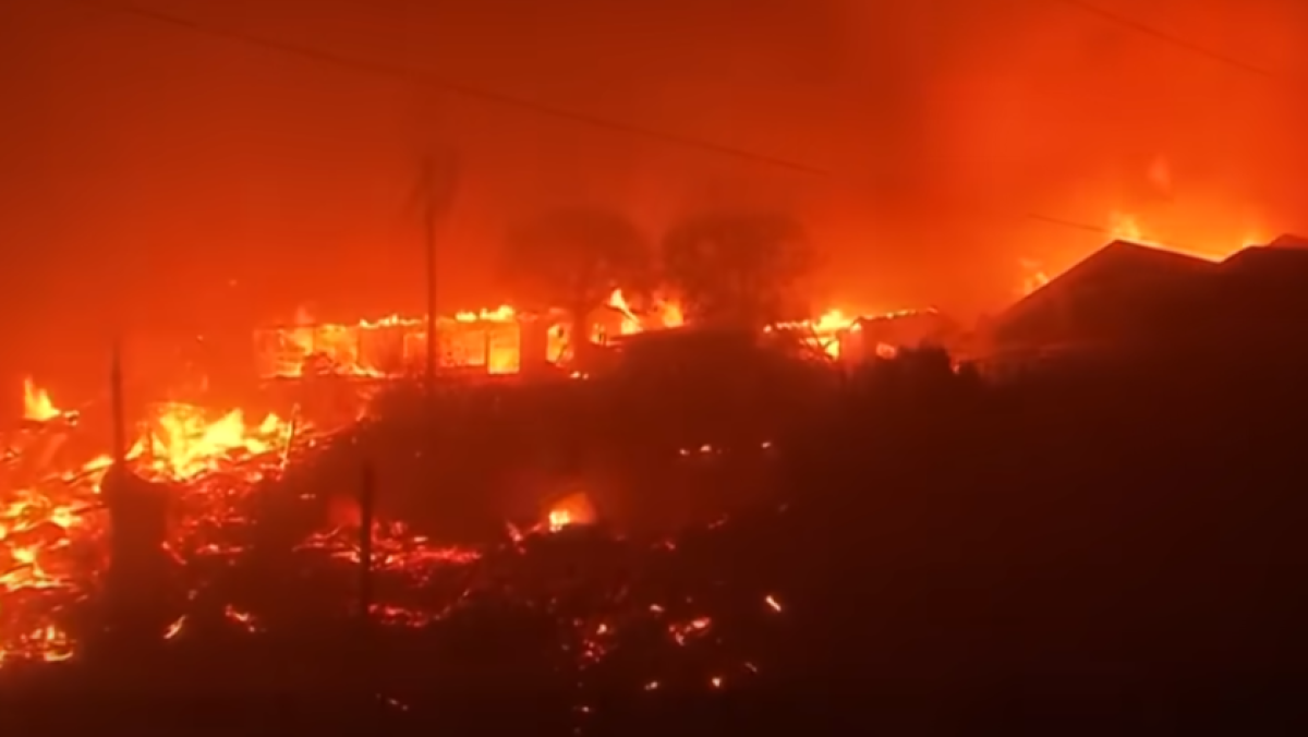  Видеодан кадр 