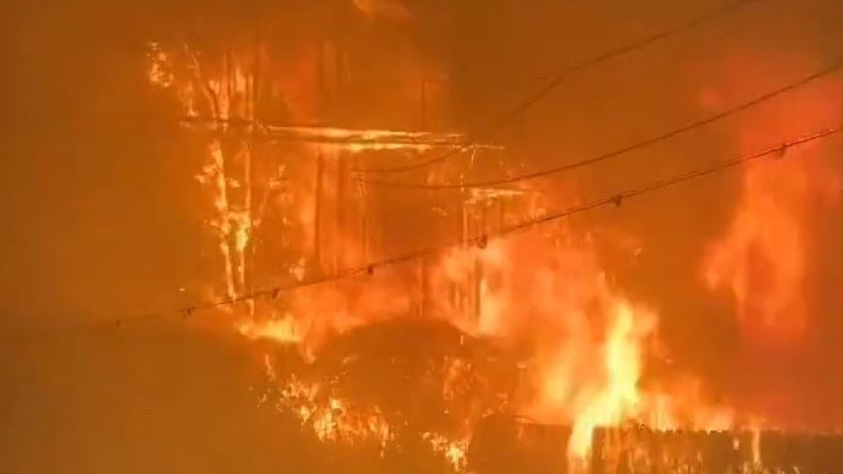  Видеодан алынған кадр 