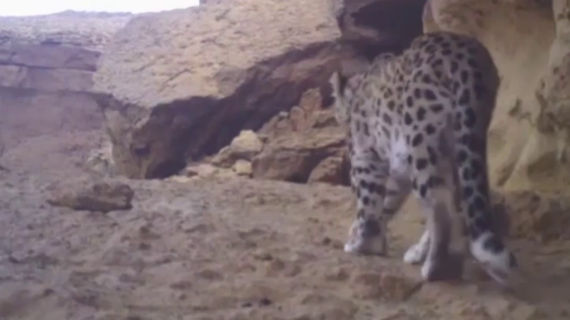  Скриншот видео 