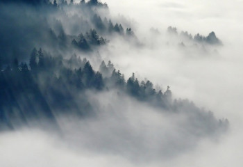 Алдағы күндері жел күшейіп, тұман түседі