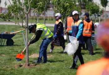 «Таза Қазақстан»: в Туркестанской области высажено более 1 миллиона деревьев