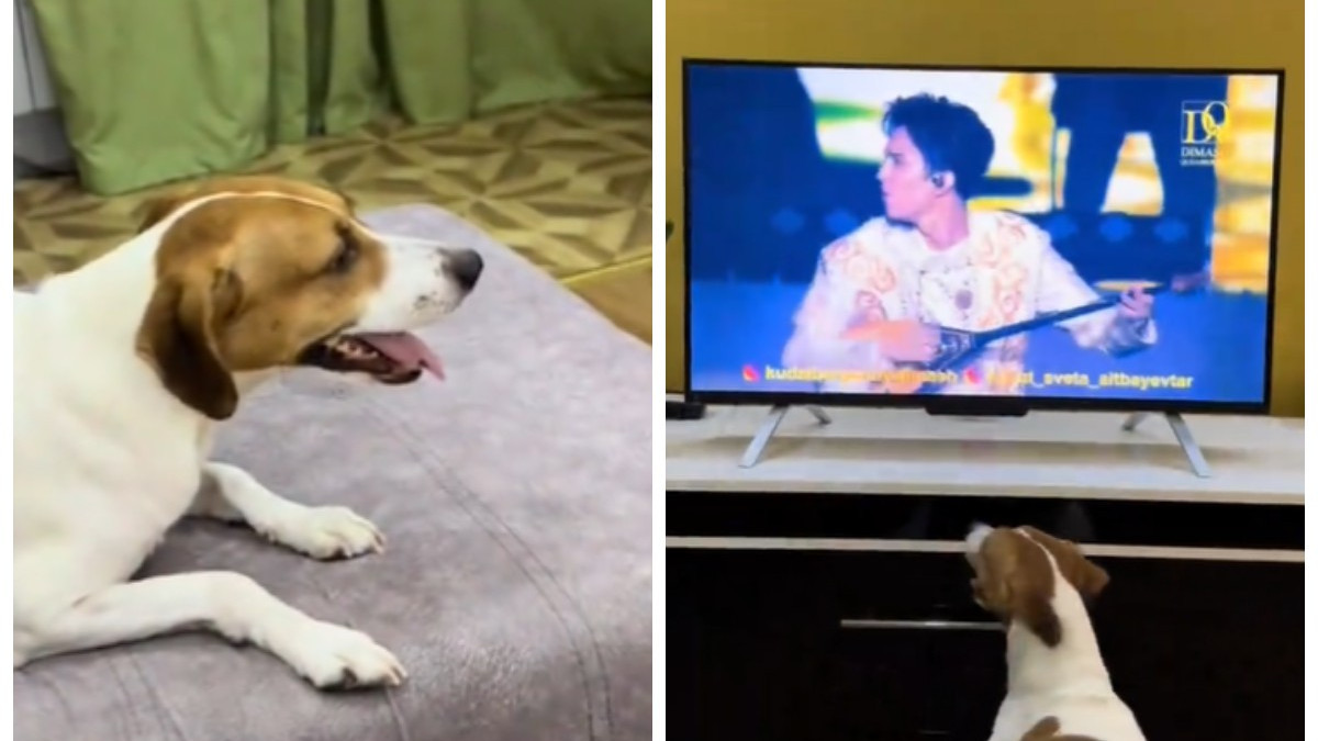  Кадр из видео 