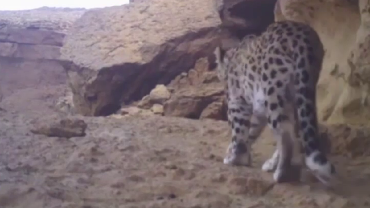  Ustyurt State Nature Reserve 