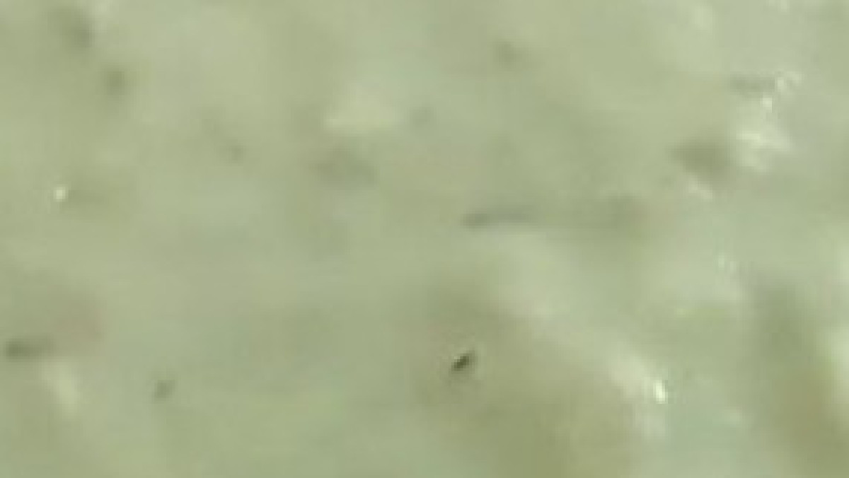  instagram.com/aqtobe_sergek 