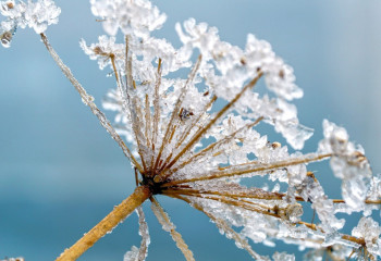 Қазақстанда 46 жыл бұрынғы температура рекорды жаңарды