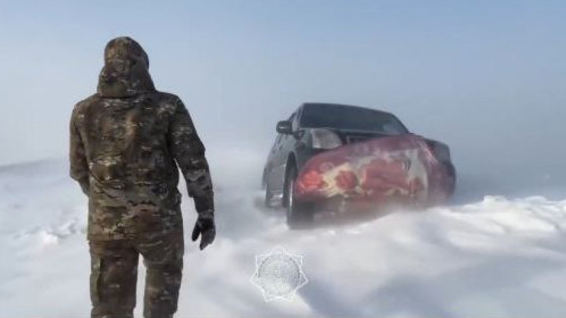  Видеодан кадр 