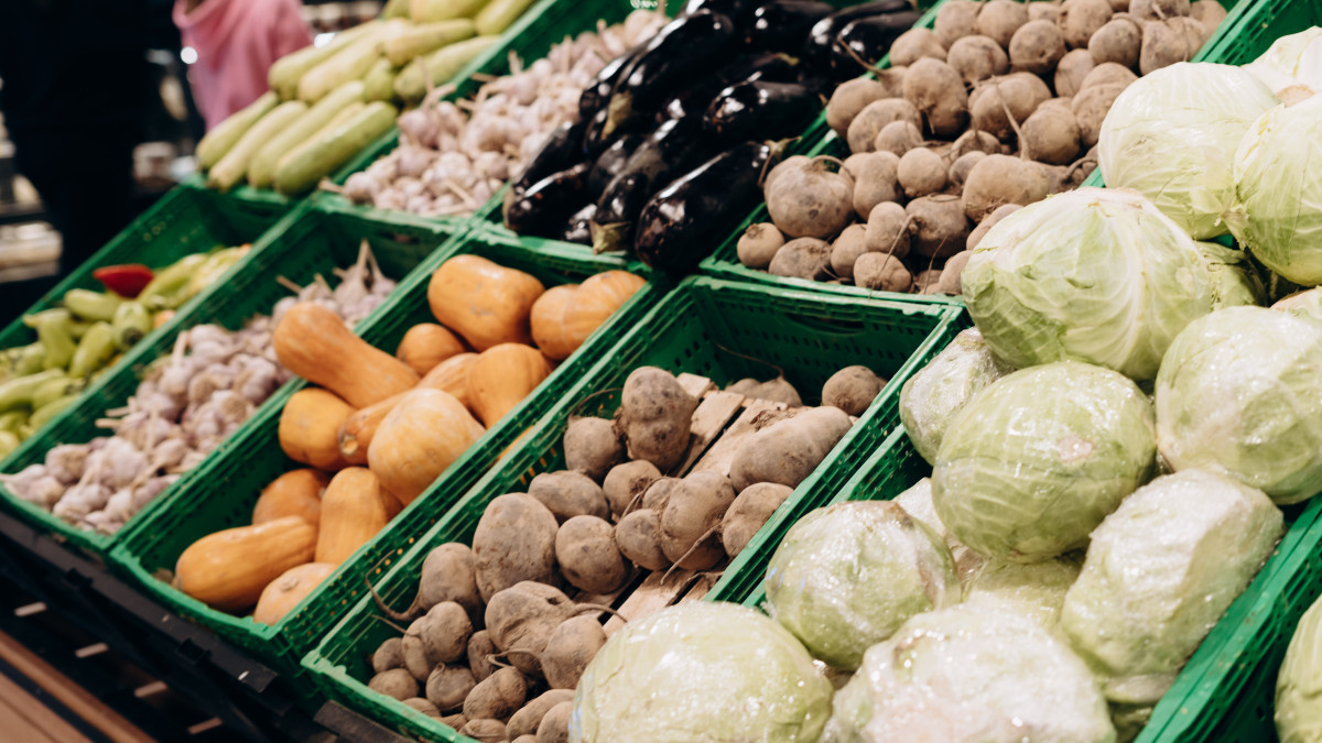  ©El.kz/ Жалгасбек ТОКТАМЫСОВ 