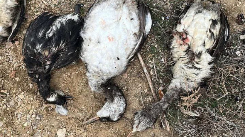  Маңғыстау облыстық Экология департаменті 