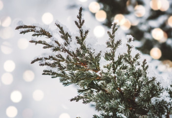 Алдағы күндері ауа райы қандай болады