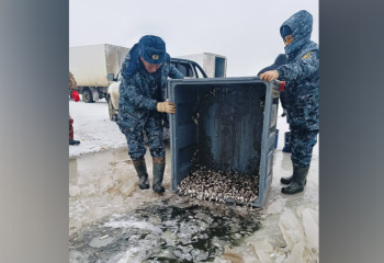 В Атырауской области спасли 1,8 миллиона мальков рыб