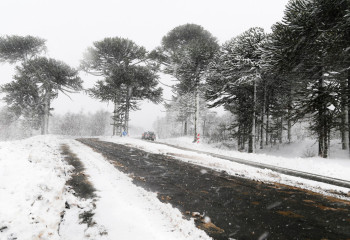 Ұлытау облысында боранда жоғалып кеткен ер адам құтқарылды