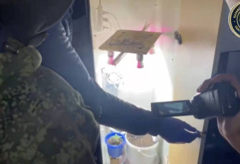 Теплицу для конопли соорудил в арендной квартире житель Карагандинской области