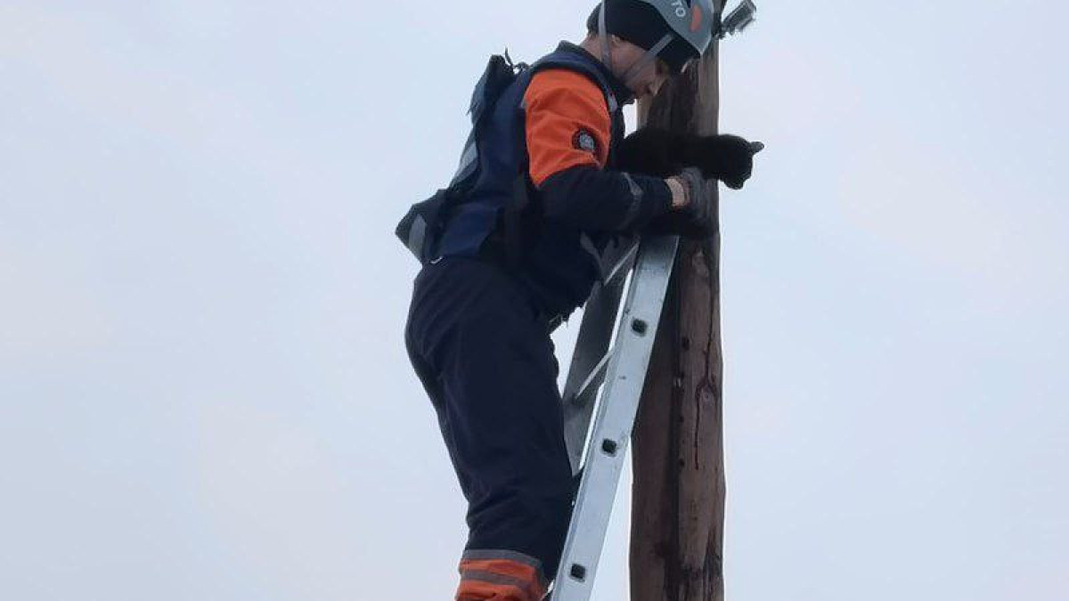  ТЖМ баспасөз қызметі 