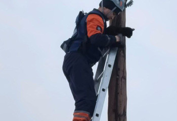 Семейде құтқарушылар бағана басындағы мысықты аман алып қалды